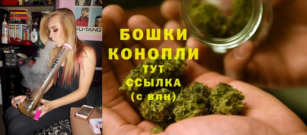 spice Арсеньев